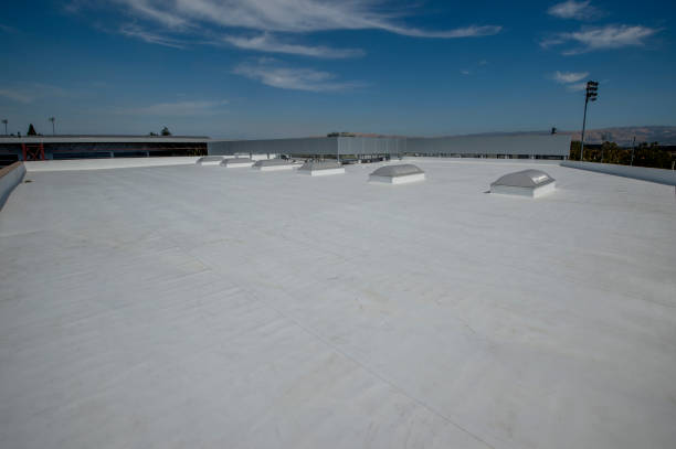 Best Metal Roofing Installation  in Temperance, MI