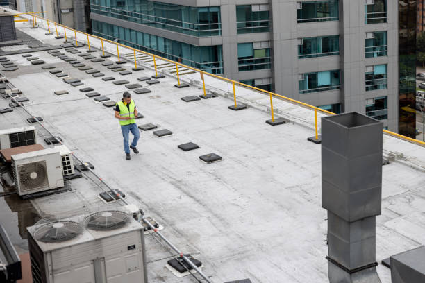 Best Roof Coating and Sealing  in Temperance, MI