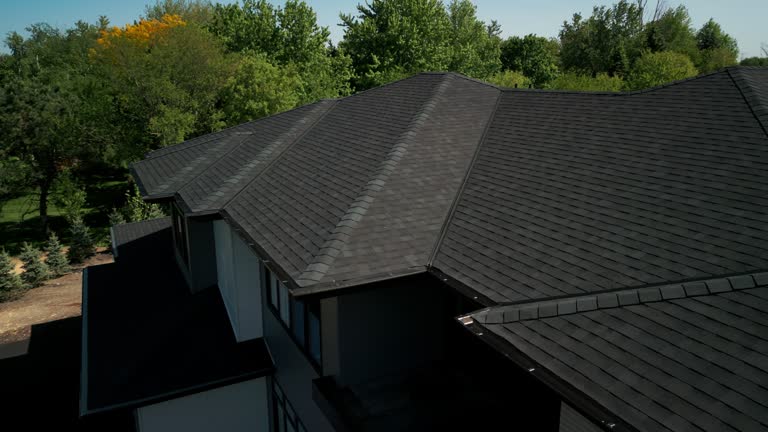 Best 4 Ply Roofing  in Temperance, MI