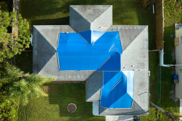 Best Asphalt Shingles Roofing  in Temperance, MI