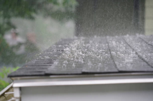 Best Cold Roofs  in Temperance, MI
