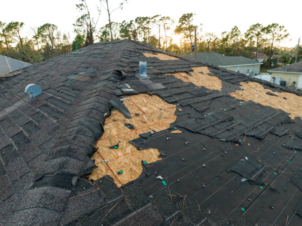 Best Steel Roofing  in Temperance, MI