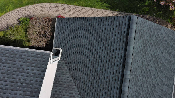 Best Skylight Installation and Repair  in Temperance, MI