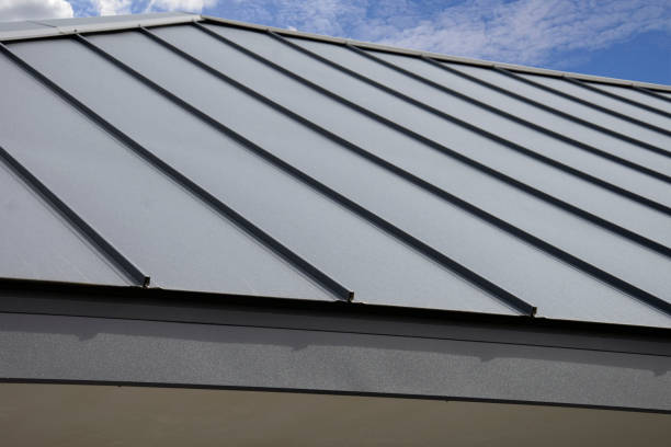 Best Sheet Metal Roofing  in Temperance, MI