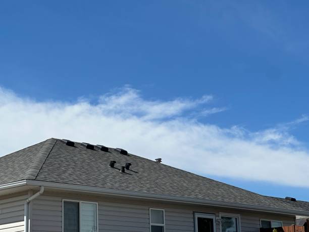 Best Emergency Roof Repair Services  in Temperance, MI